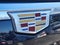 2022 Cadillac Escalade 4WD 4dr Premium Luxury
