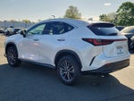 2025 Lexus NX NX 350 AWD