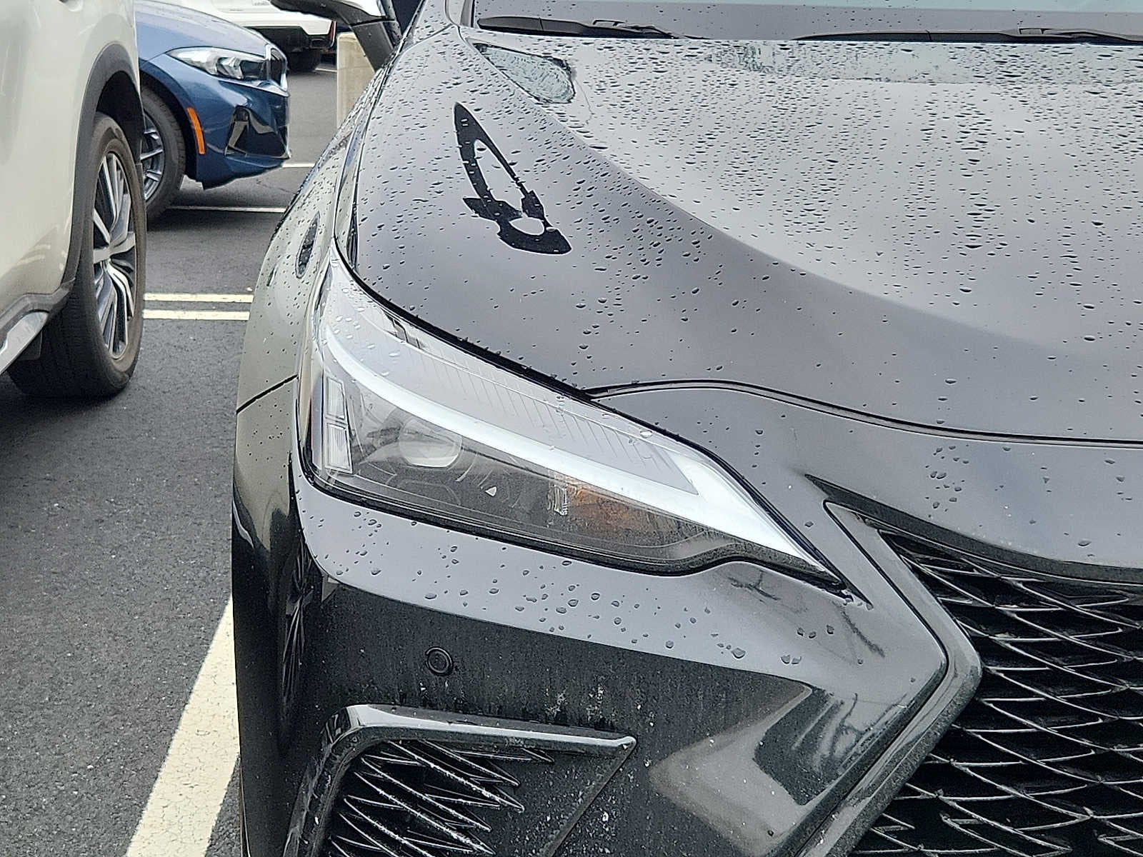 2022 Lexus NX NX 350 F SPORT Handling AWD