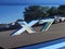2024 BMW X7 xDrive40i Sports Activity Vehicle