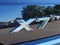 2024 BMW X7 xDrive40i Sports Activity Vehicle