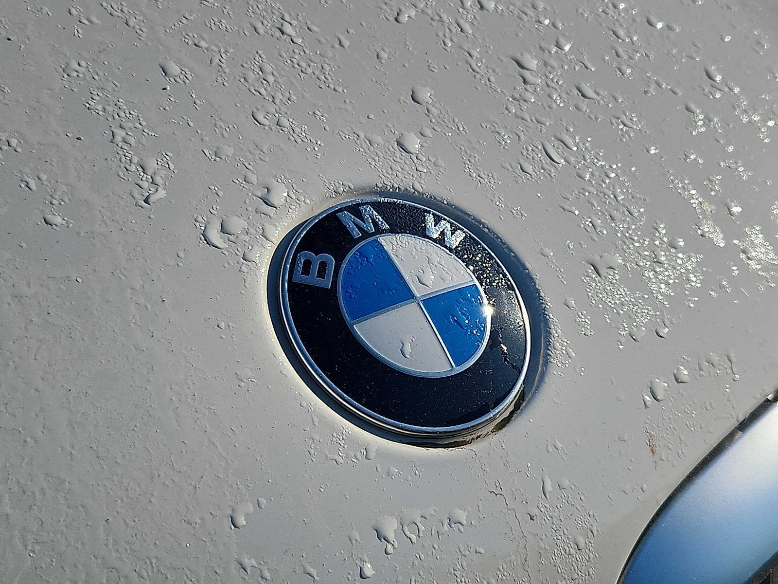 2024 BMW X5 xDrive40i Sports Activity Vehicle