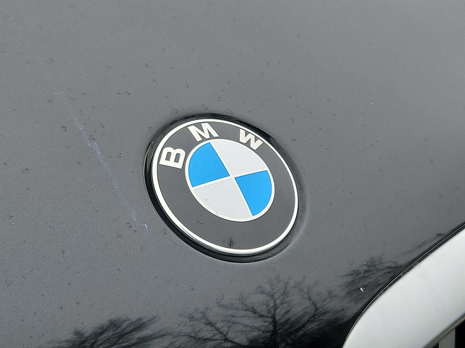 2024 BMW X5 xDrive40i Sports Activity Vehicle