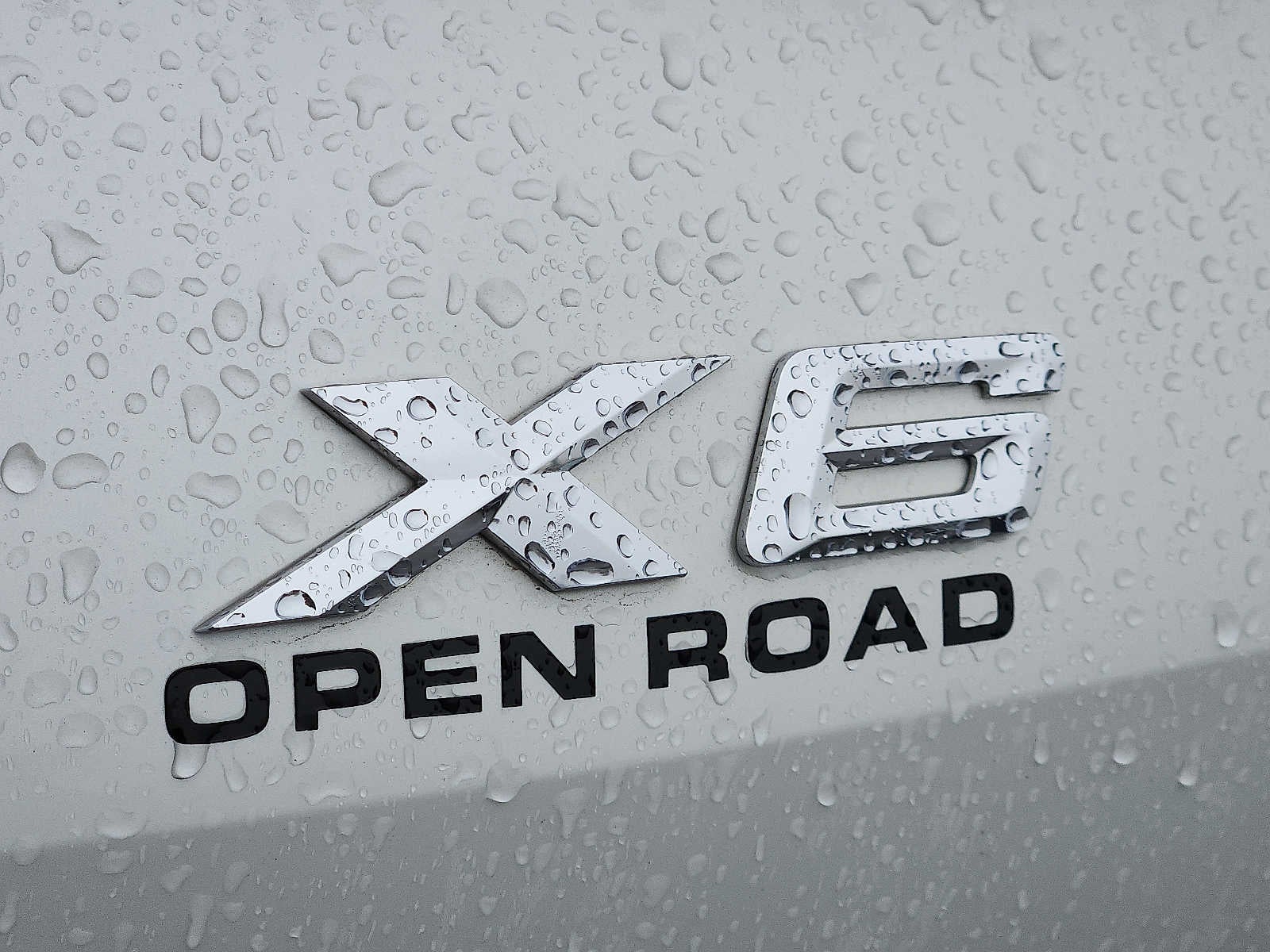 2021 BMW X6 xDrive40i Sports Activity Coupe