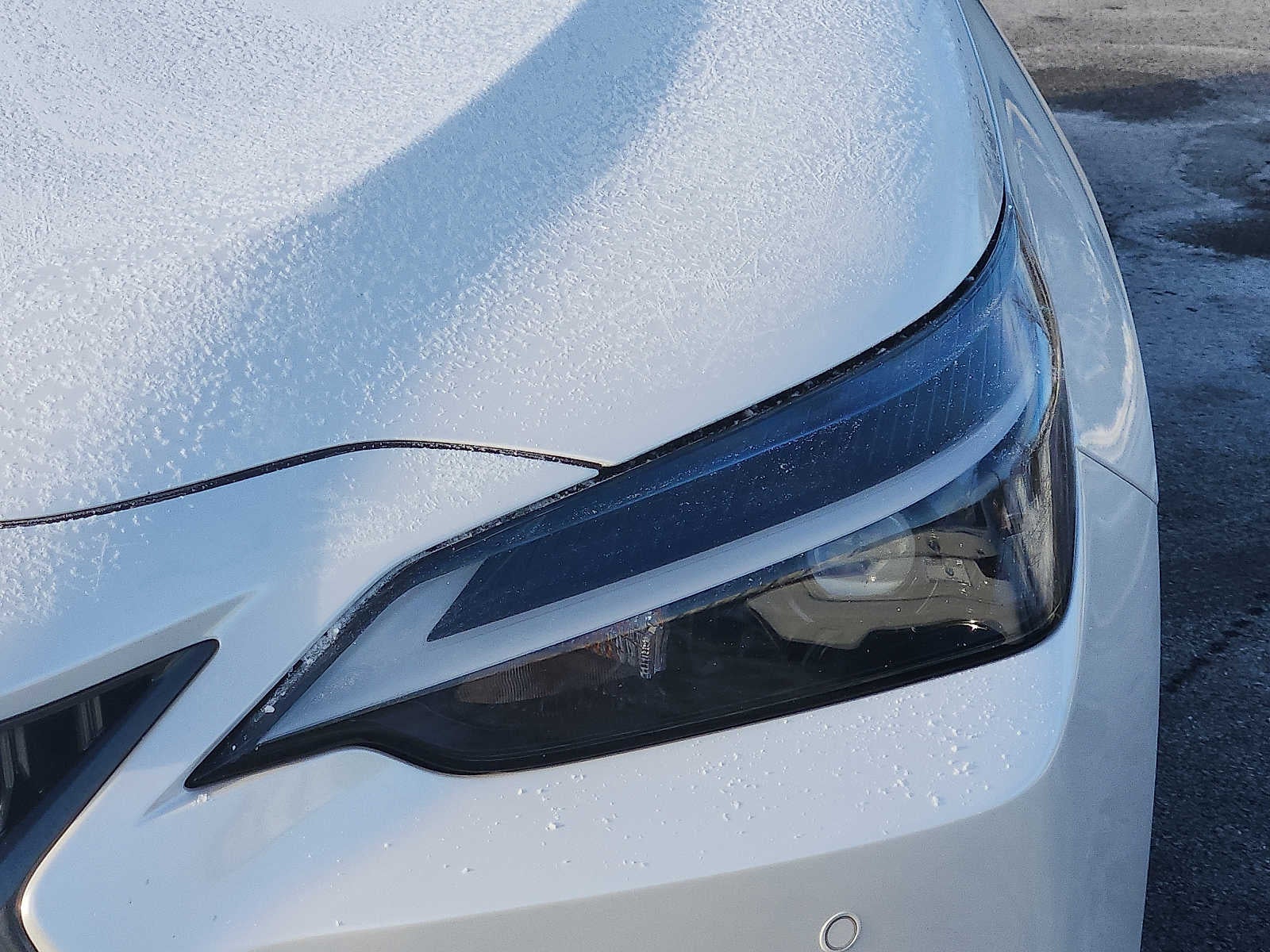 2024 Lexus NX NX 350h Premium AWD