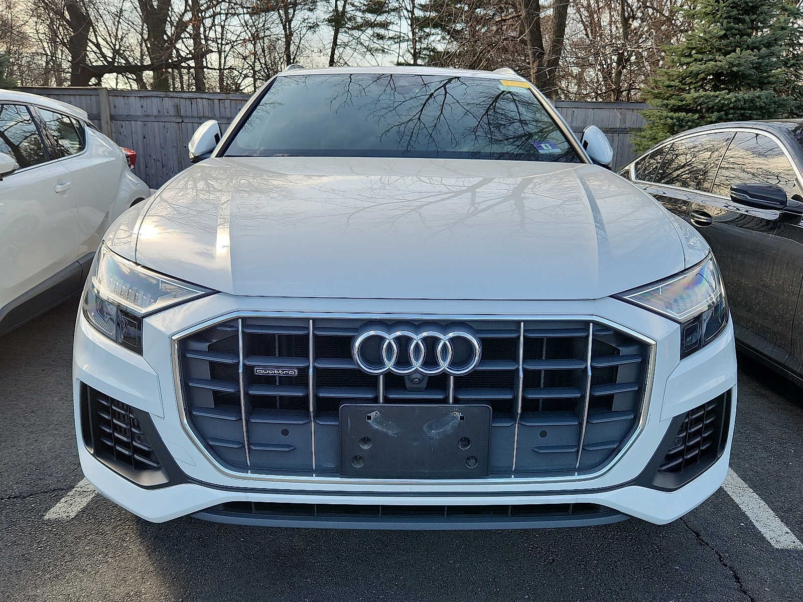 2019 Audi Q8 Premium Plus 55 TFSI quattro