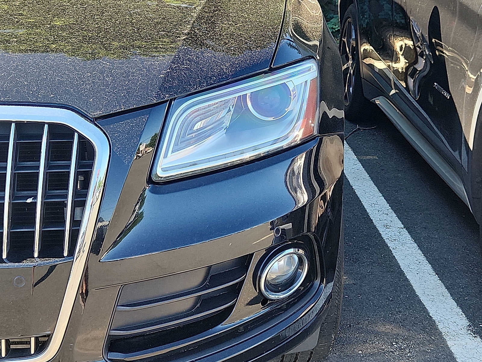 2015 Audi Q5 quattro 4dr 2.0T Premium Plus
