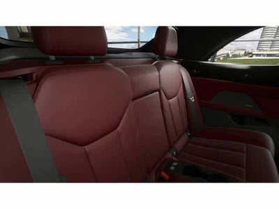 2026 BMW 4 Series 430i xDrive Convertible